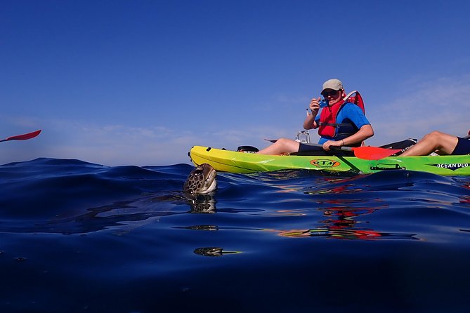 Tenerife: Turtle & Dolphin Kayak Tour with Snorkel & Wetsuit - The snorkel break: wetsuit on, eyes open, and fish in focus