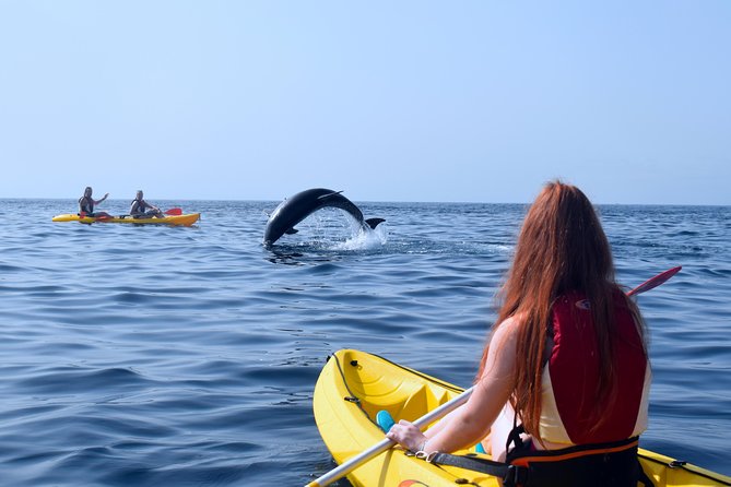 Tenerife: Turtle & Dolphin Kayak Tour with Snorkel & Wetsuit - Who should book this Tenerife kayaking tour, and who should skip it