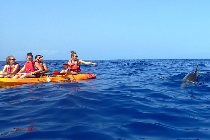 Tenerife: Turtle & Dolphin Kayak Tour with Snorkel & Wetsuit - Price and value: why $42.33 can feel like a steal