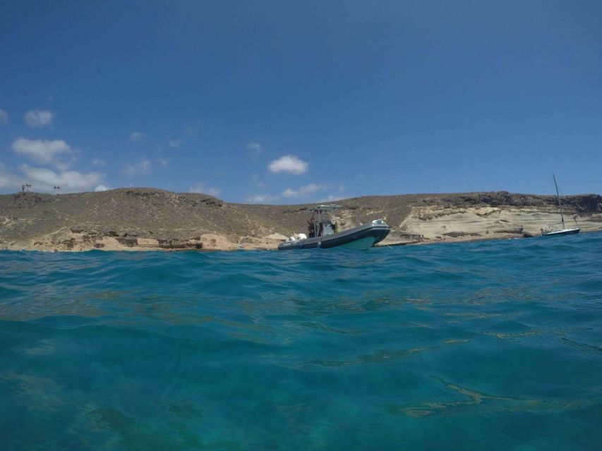 Tenerife: Underwater Lava Tongues Snorkel Excursion - Key things to know before you go