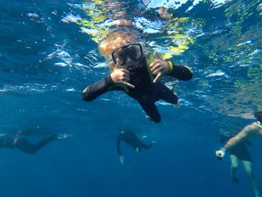 Tenerife: Underwater Lava Tongues Snorkel Excursion - Volcano rock that keeps going, above and below water