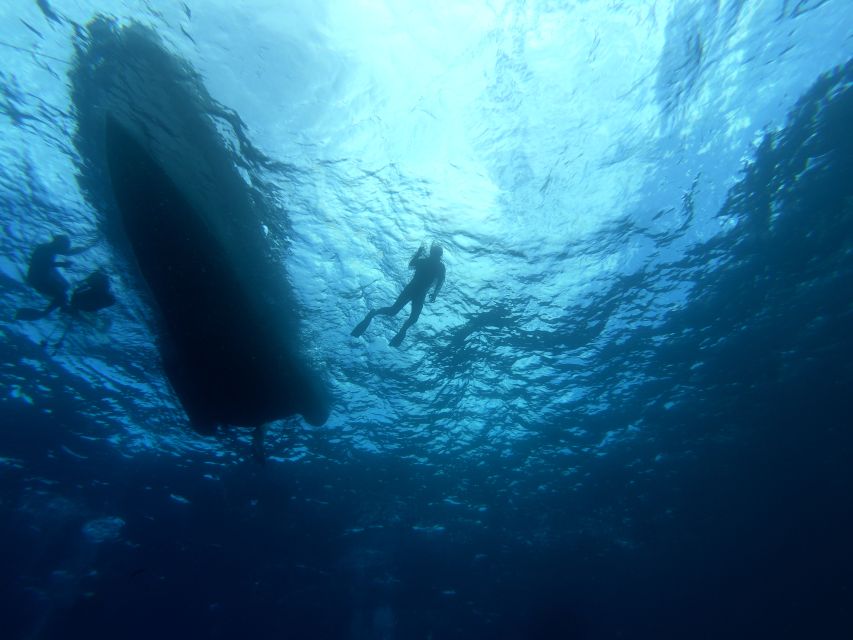 Tenerife: Underwater Lava Tongues Snorkel Excursion - What you get in the water (and what to plan for)
