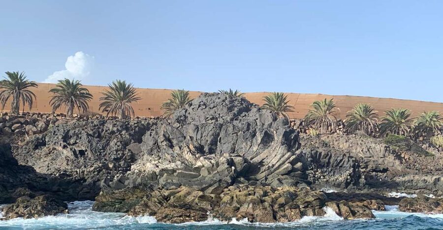 Tenerife: Underwater Lava Tongues Snorkel Excursion - Who this snorkeling trip is best for