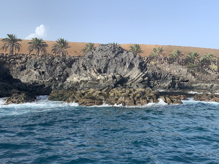 Tenerife: Underwater Lava Tongues Snorkel Excursion - A quick practical checklist for your day