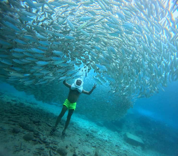 Tenerife: Underwater Walk - Sea Trek Experience - Key highlights at a glance