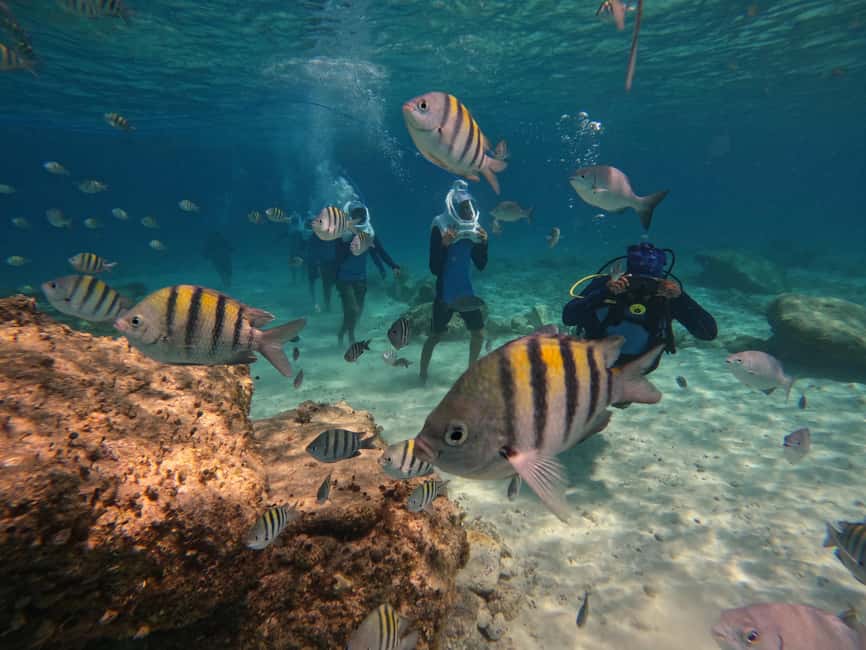 Tenerife: Underwater Walk - Sea Trek Experience - Sea Trek helmets in Los Cristianos: the moon-walk feeling