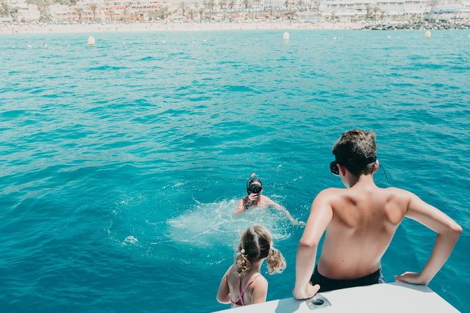 Tenerife: Whale and dolphin watching - White Dreams on the water: comfort, drinks, and that better sight-line