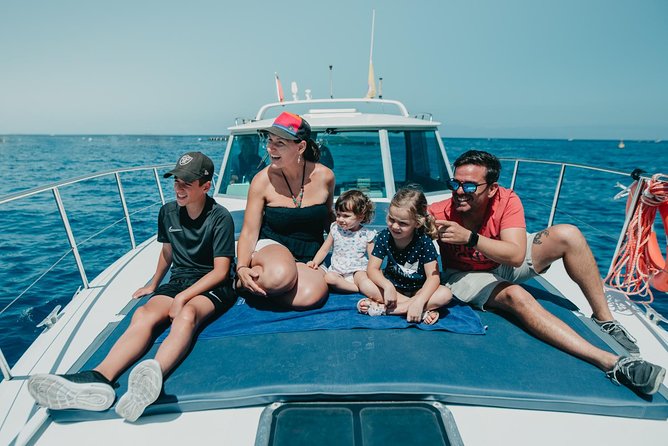 Tenerife: Whale and dolphin watching - Blue Boat certification and a wildlife-first mindset
