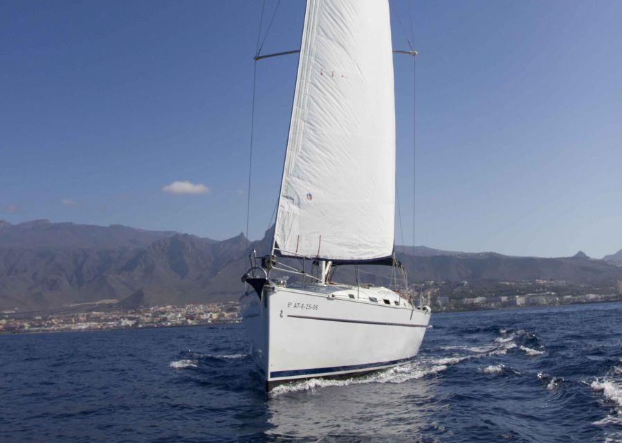 Tenerife: Whale and Dolphin Watching Tour by Sailboat - Quick reasons this tour is worth your time