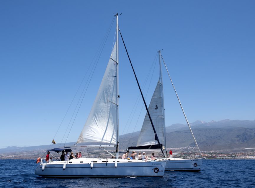 Tenerife: Whale and Dolphin Watching Tour by Sailboat - Who should book this Tenerife tour, and who might want a different plan