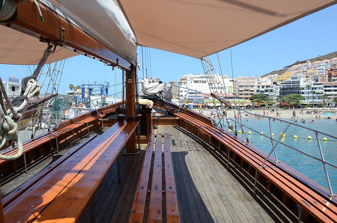 Tenerife: Whale and Dolphin Watching with a Plunge - Price, Value, and What You’re Really Paying For