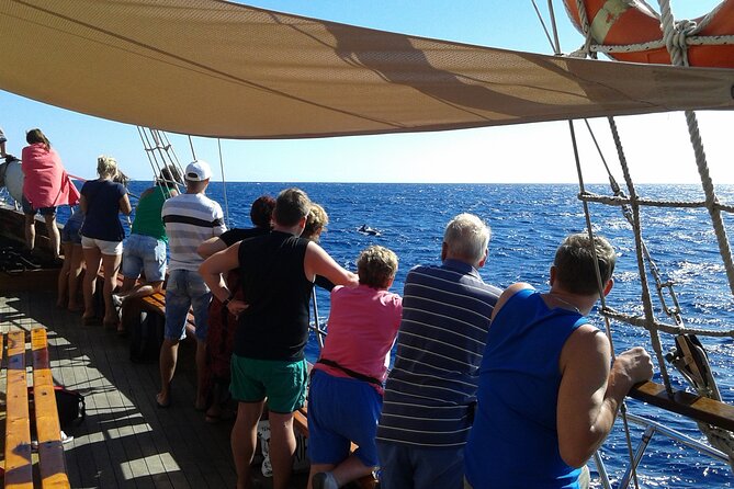 Tenerife: Whale and Dolphin Watching with a Plunge - The Simple Packing List That Prevents Regrets