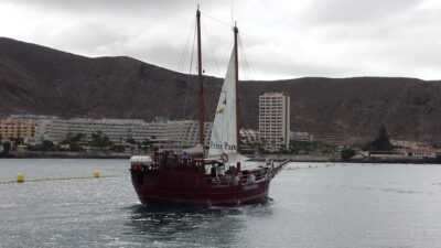 Whale & Dolphin Watching Cruise with Swim Stop