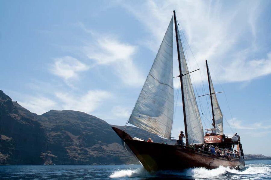Tenerife: Whale & Dolphin Watching Cruise with Swim Stop - The Whale Watching Experience: Calm Observation With Real Distance