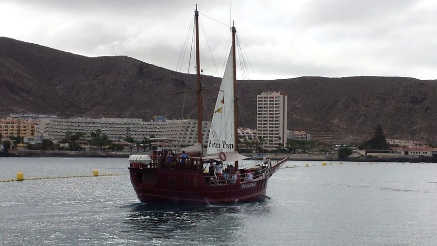 Tenerife: Whale & Dolphin Watching Cruise with Swim Stop - Board the Crew, Learn the Ocean, and Watch Without Pressure