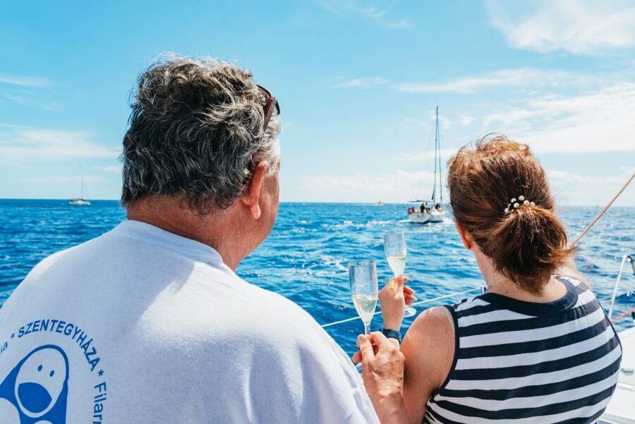 Tenerife: Whale & Dolphin Watching with Drinks and Snacks - Should you book this Tenerife whale and dolphin watching yacht tour?