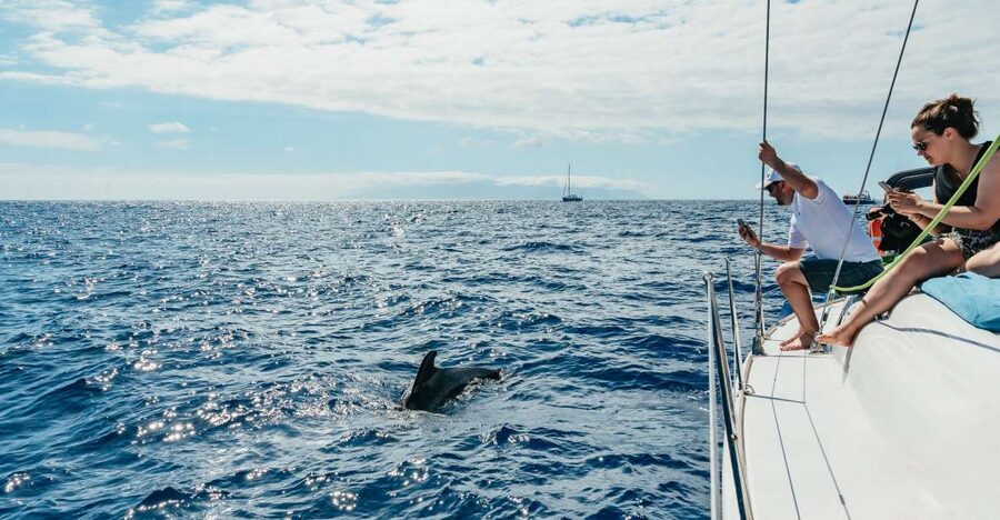 Tenerife: Whale & Dolphin Watching with Drinks and Snacks - On the water: how the whale and dolphin search really feels