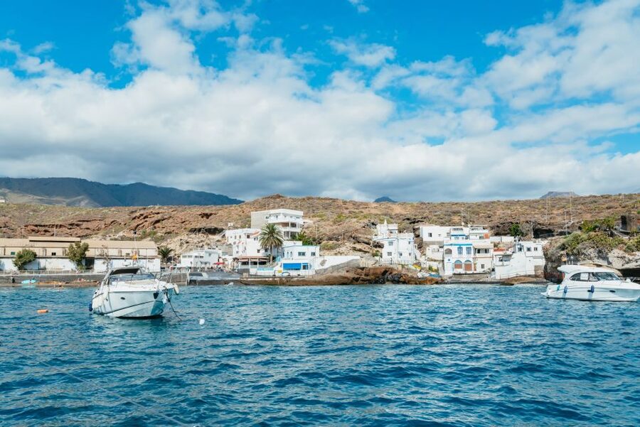Tenerife: Whale & Dolphin Watching with Drinks and Snacks - The sheltered bay stop: turtle snorkeling and how to prepare