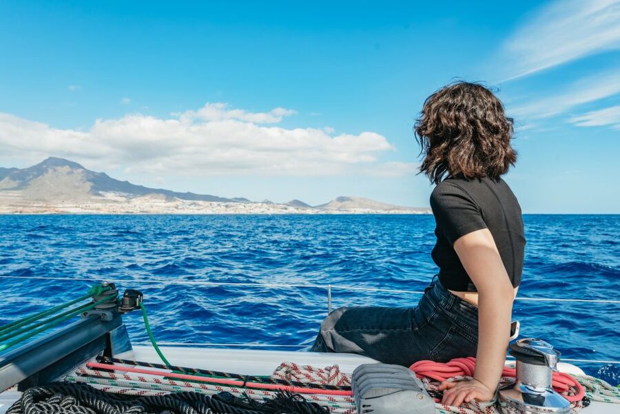 Tenerife: Whale & Dolphin Watching with Drinks and Snacks - What you are really paying for: the $77 value check