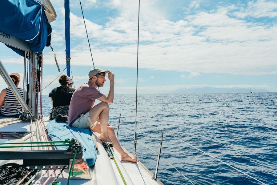Tenerife: Whale & Dolphin Watching with Drinks and Snacks - Who should book this cruise, and who might skip it