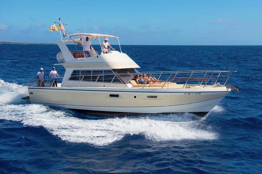 Tenerife: Whale tour and sea swim on a yacht for 22 people - Key Points to Know Before You Go