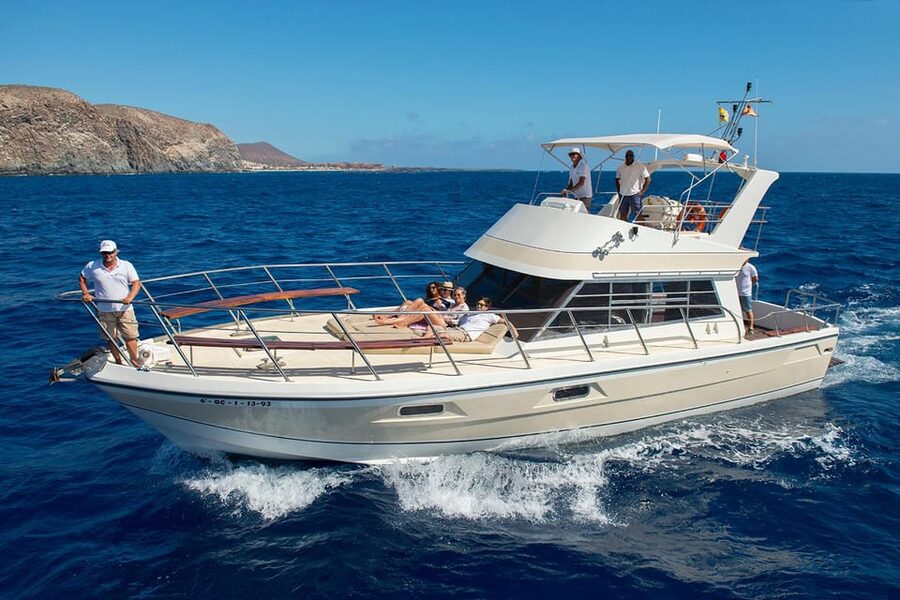 Tenerife: Whale tour and sea swim on a yacht for 22 people - Choosing the Right Boat: Why Neptuno’s Setup Matters