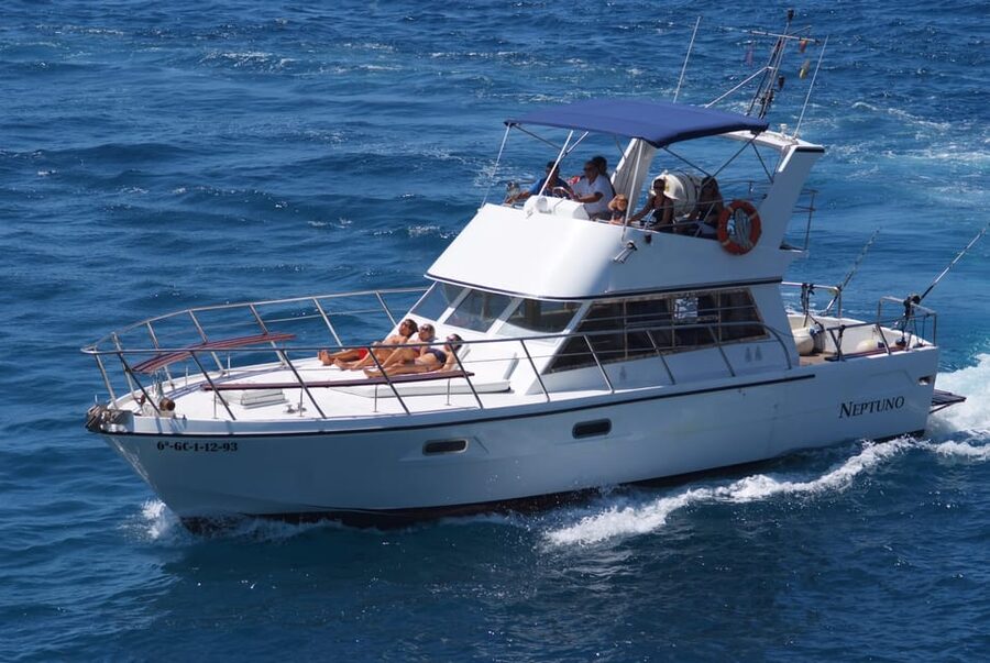 Tenerife: Whale tour and sea swim on a yacht for 22 people - The Value Angle: Why This Price Can Make Sense