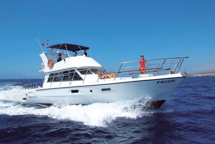 Tenerife: Whale tour and sea swim on a yacht for 22 people - Booking Smart: How to Plan Your Day Around the Sea Swim