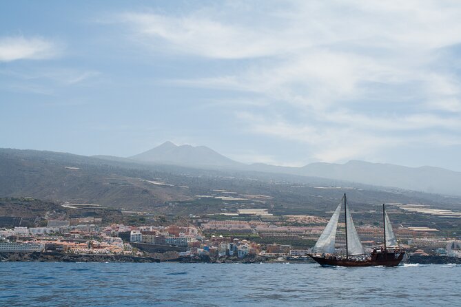 Tenerife : Whales and Dolphins with Food and Bath in Los Gigantes - Setting Sail From Puerto Colón: the day plan in plain language