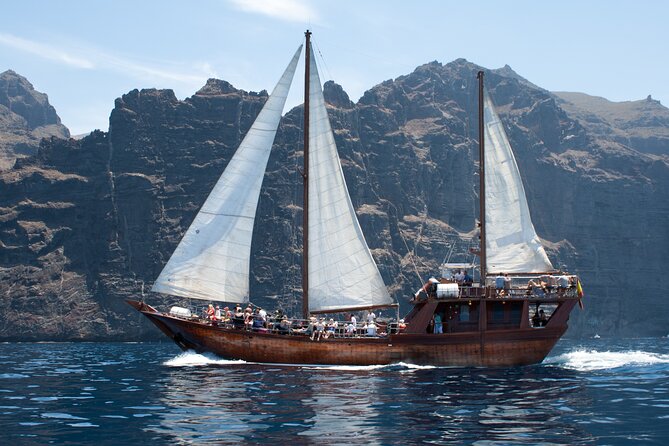 Tenerife : Whales and Dolphins with Food and Bath in Los Gigantes - Masca Bay and snorkeling reality check: what to bring
