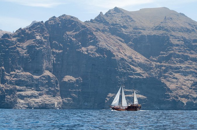 Tenerife : Whales and Dolphins with Food and Bath in Los Gigantes - Booking, timing, and value: is the $66.42 price fair?