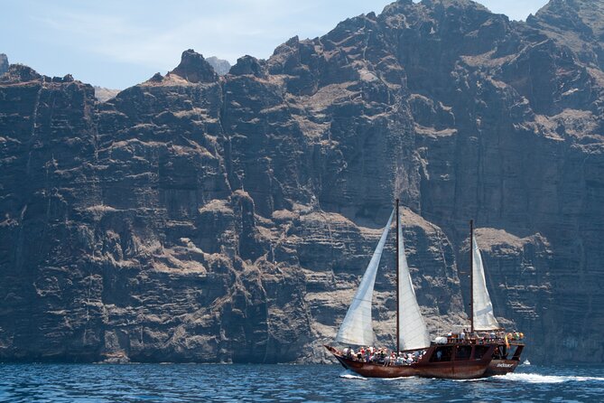 Tenerife : Whales and Dolphins with Food and Bath in Los Gigantes - Who this trip suits, and who might want a different plan