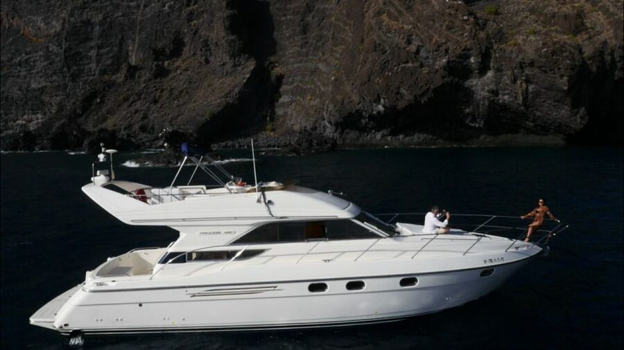 Tenerife: Whales and Snorkeling Tour on a Luxury Yacht - The 3-Hour Route: What Each Stop Really Gives You
