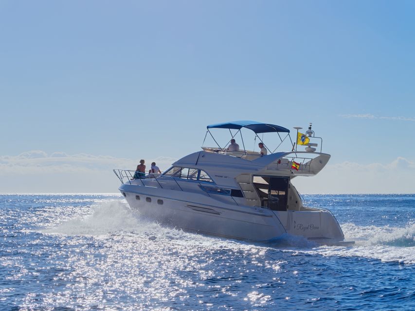 Tenerife: Whales and Snorkeling Tour on a Luxury Yacht - Group Size and On-Board Comfort: Why Max 10 Feels Better