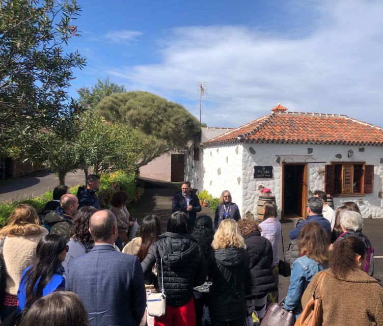 Tenerife Wine: Guided Tour & Tasting with Canarian bites - Cellar time, tanks up to 200,000 liters, and bottling workflow