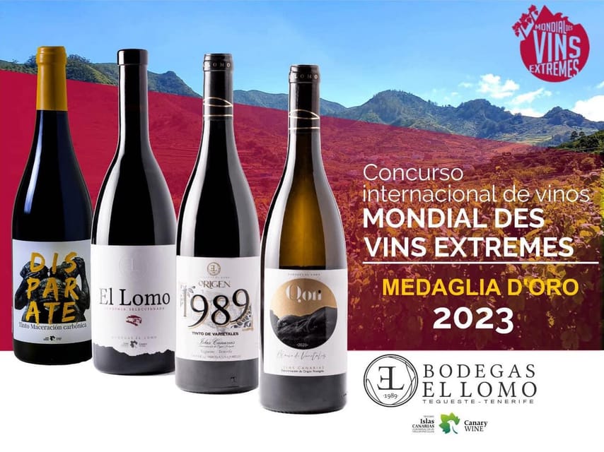 Tenerife Wine: Guided Tour & Tasting with Canarian bites - Vineyard walk in the Varietal Garden and the century-old plots