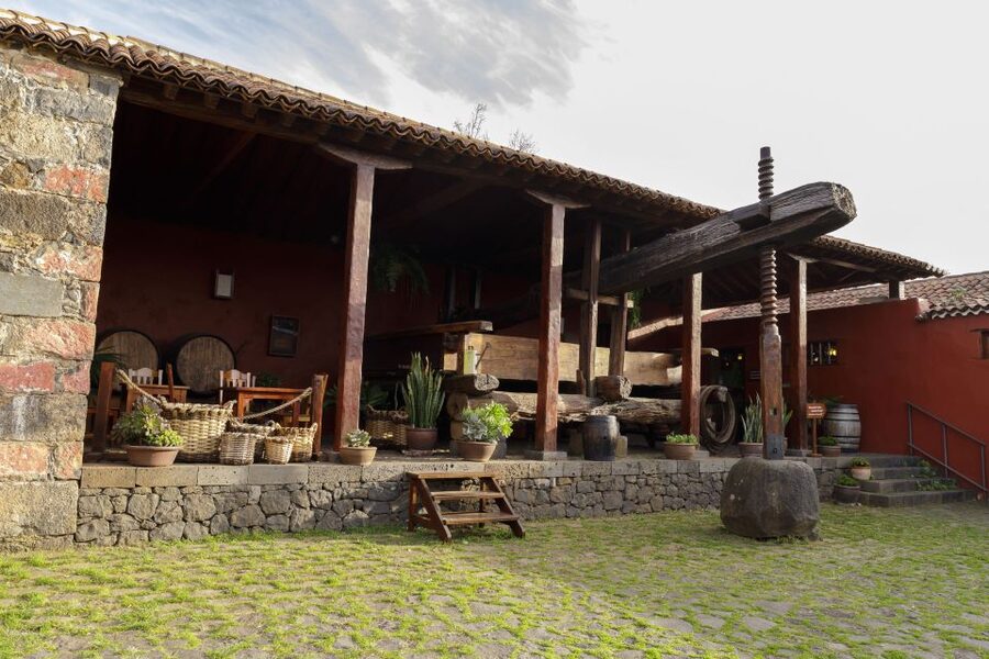 Tenerife: Wine Museum Ticket with Local Wines & Food Tasting - Teide and sea views from a wine estate