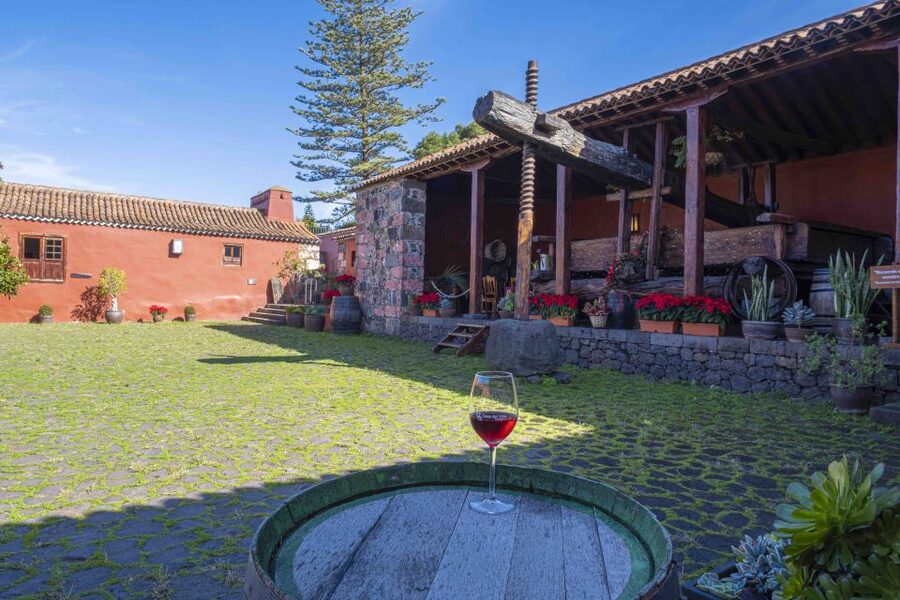 Tenerife: Wine Museum Ticket with Local Wines & Food Tasting - Practical timing, where to go, and how to get there