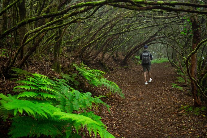 Tenerife Wonder Walk - Victor, the guide factor, and why people keep bringing his name up