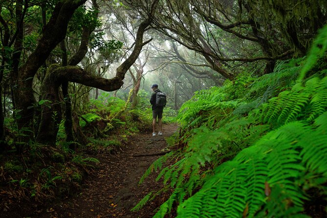 Tenerife Wonder Walk - Stop 1: Parque Rural de Anaga and the Guanche-era trail mood