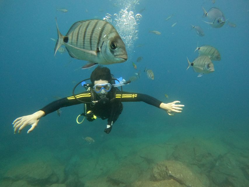 Tenerife: Your First Scuba Diving Experience in Turtle Area - Meeting in Costa Adeje, then straight into the safety briefing