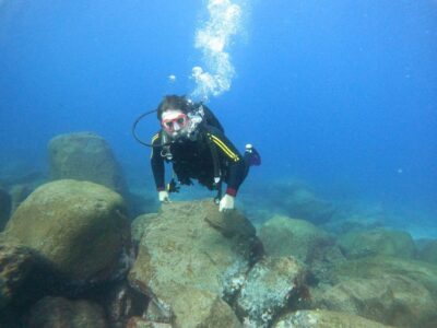 Your First Scuba Diving Experience in Turtle Area