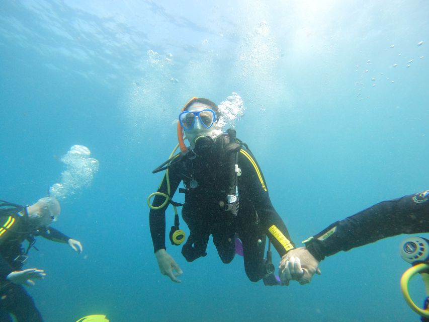 Tenerife: Your First Scuba Diving Experience in Turtle Area - Equipment and what to bring for a smooth day
