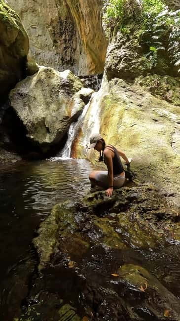 Teno Waterfalls Hiking Tour: Tropical Jungle Adventure - Into Masca Gorge: That Winding Descent Is the Warm-Up