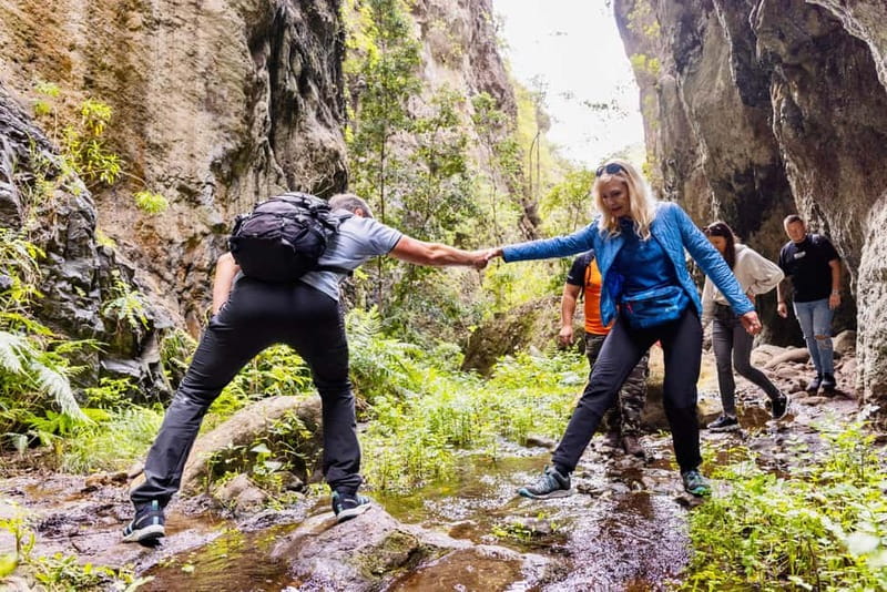 Teno Waterfalls Hiking Tour: Tropical Jungle Adventure - The Gorge Walk: Dry Riverbed, Rock Formations, and Water Getting Louder