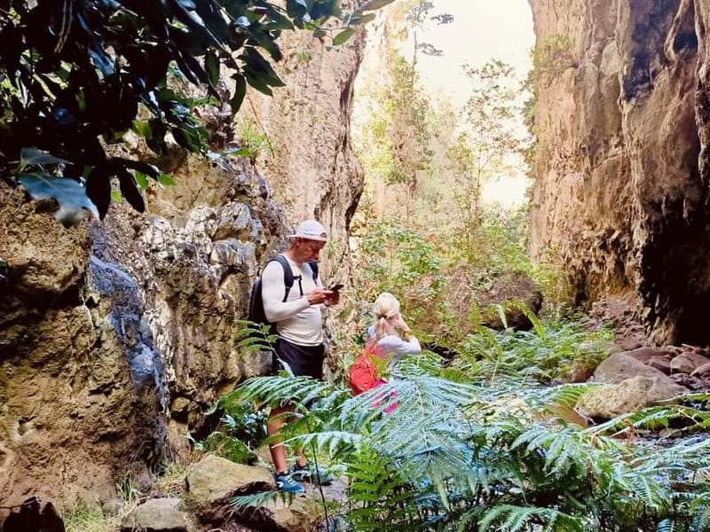 Teno Waterfalls Hiking Tour: Tropical Jungle Adventure - Swim Time in Natural Springs: The Moment You’ll Actually Remember