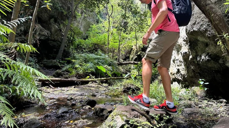 Teno Waterfalls Hiking Tour: Tropical Jungle Adventure - Price and Value: What $160 Covers (and How to Get Your Money’s Worth)