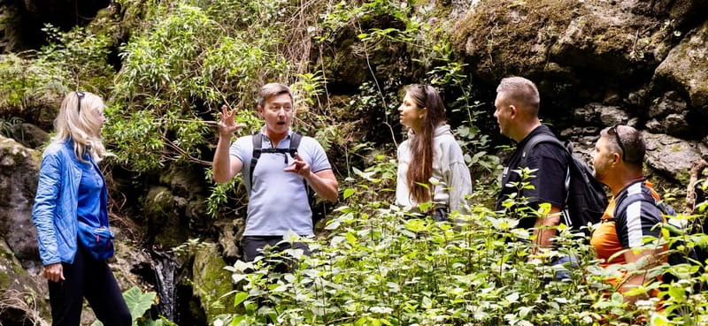 Teno Waterfalls Hiking Tour: Tropical Jungle Adventure - What to Pack and Wear, So the Wet Section Doesn’t Derail Your Day