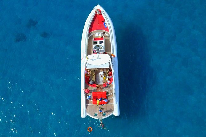 The Worlds Largest RIB luxury 3hrs including lunch and drinks - Who Should Book This RIB Whale Watching Trip (and Who Might Want Another Option)