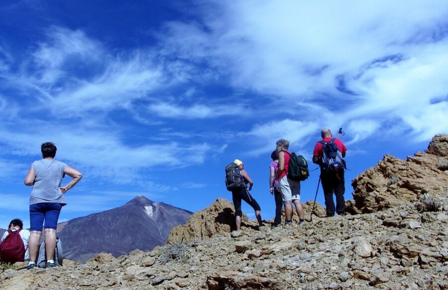 The Wow Factor Walk - Forest Trails and Barranco Crossings, Where Pace Gets Real